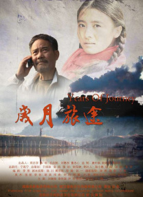 一区二区在线看